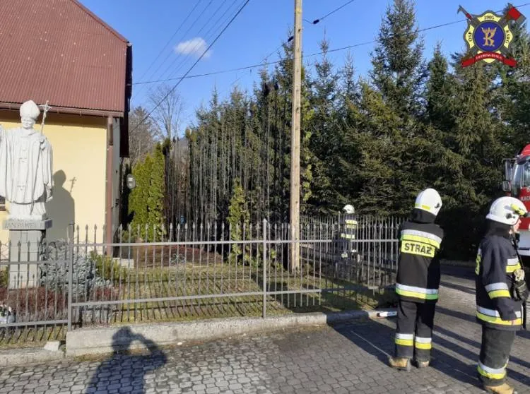 pożar tuji koło plebanii Kąclowa