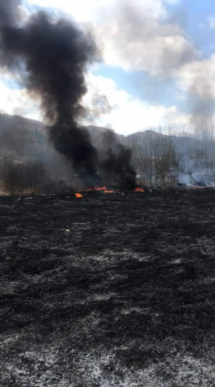 pożar traw Maszkowice