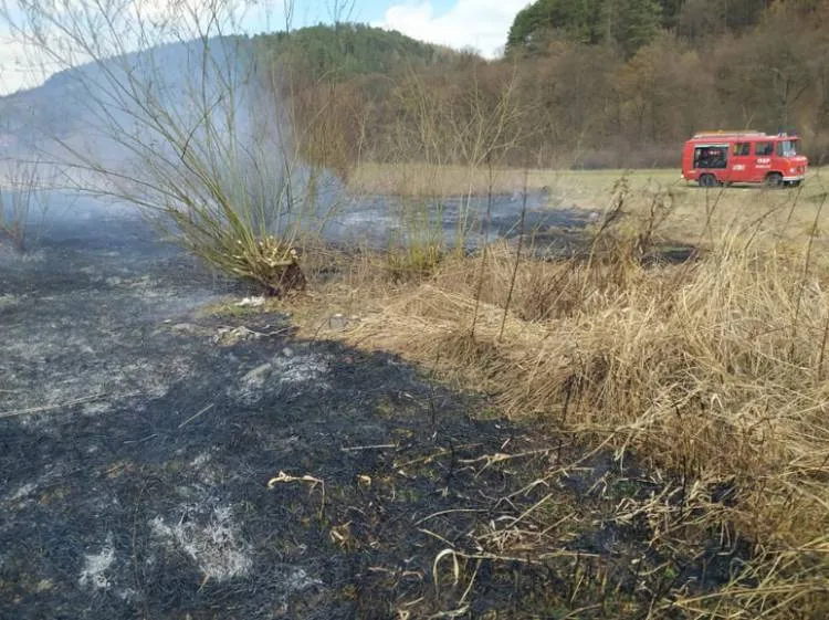 pożar traw Maszkowice