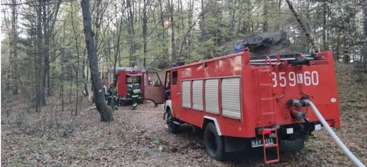 pożar lasu w Bukowcu
