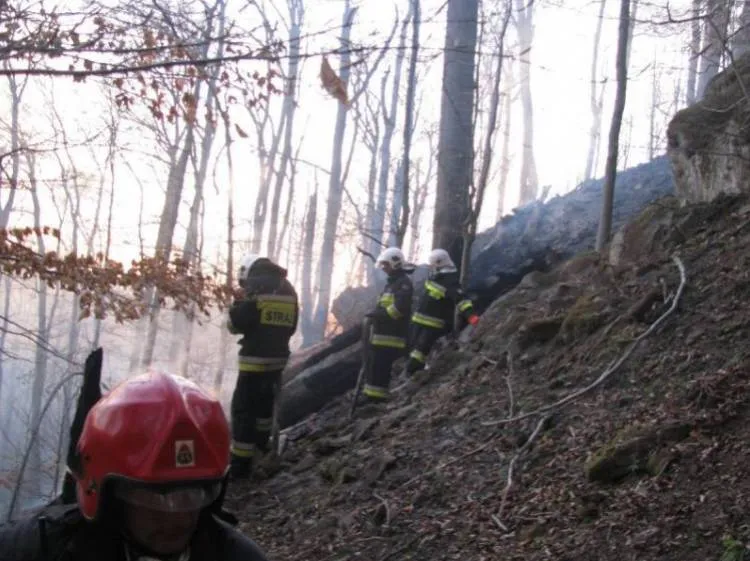 Pożar lasu w Żegiestowie