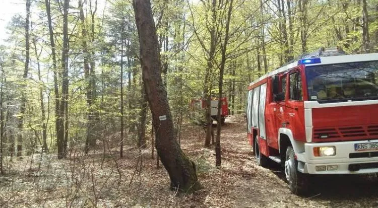 W Bukowcu strażacy dogaszali pogorzelisko