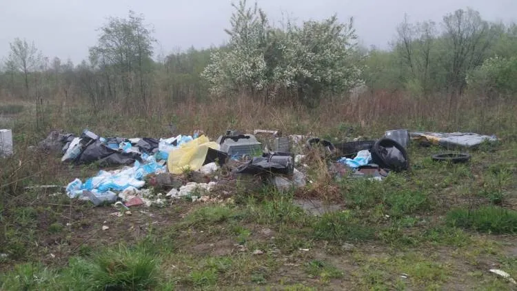 Wysypisko śmieci Podrzecze stawy