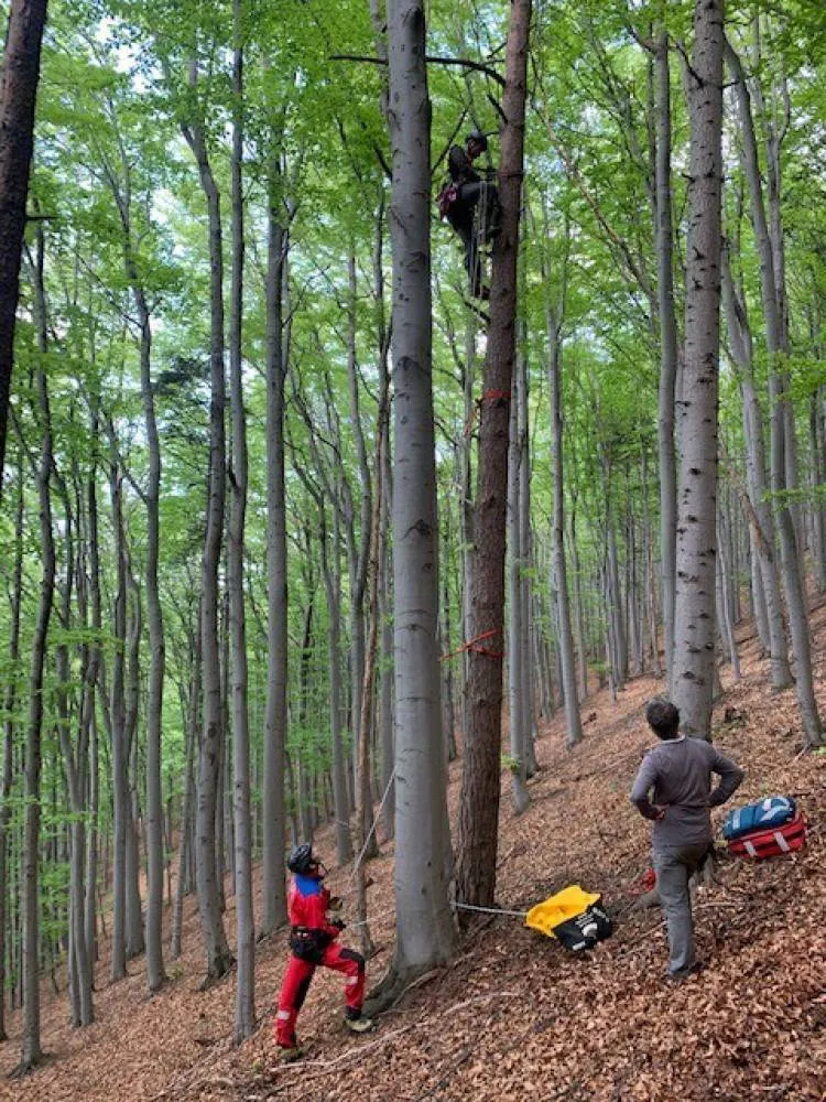 paralotniarz zawisł na drzewie w masywie Cietnia nad Wiśniową