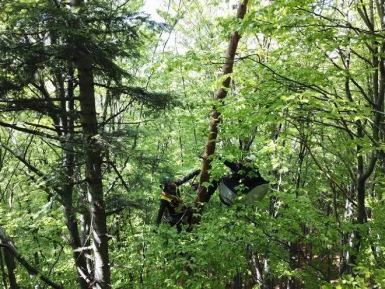 paralotniarz zawisł na drzewie w masywie Cietnia nad Wiśniową