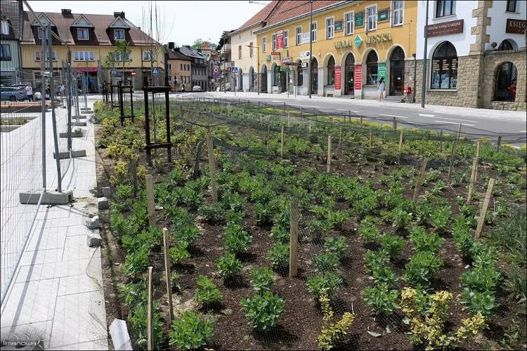 Trwa rewitalizacja Parku Miejskiego i Rynku w Limanowej