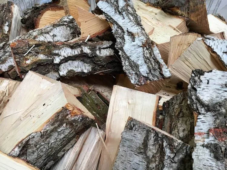 Jest akt oskarżenia w sprawie kradzieży drewna przez byłego leśniczego Leśnictwa Mogielnica