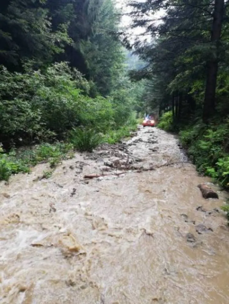 Piwniczna Zdrój. Strażacy interweniowali w związku z ulewnymi opadami deszczu