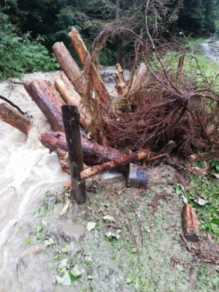 Piwniczna Zdrój. Strażacy interweniowali w związku z ulewnymi opadami deszczu