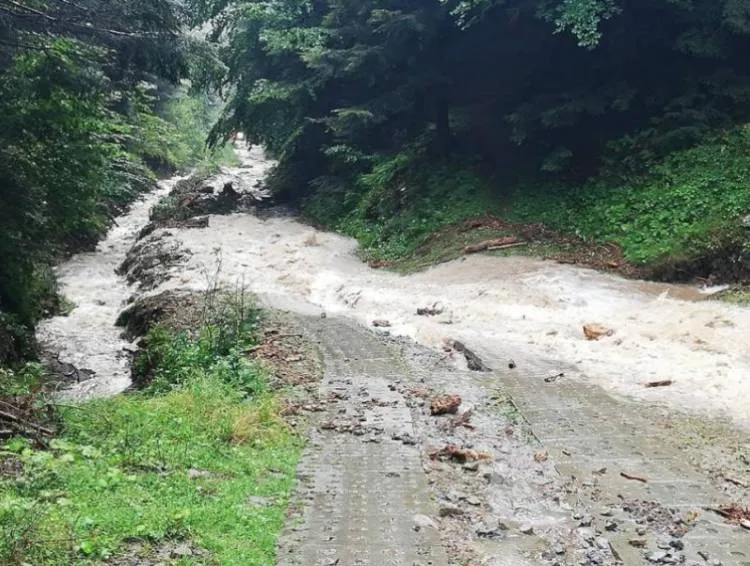 Piwniczna Zdrój. Strażacy interweniowali w związku z ulewnymi opadami deszczu