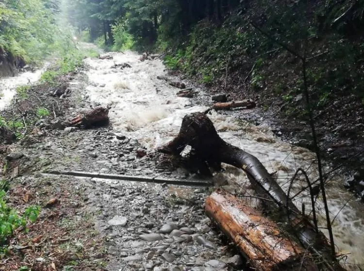 Piwniczna Zdrój. Strażacy interweniowali w związku z ulewnymi opadami deszczu