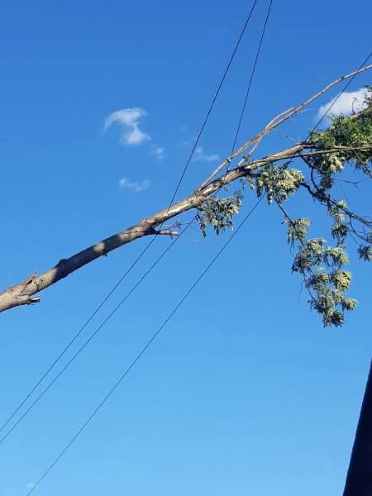 Barcice. Drzewo przewróciło się na linie energetyczne