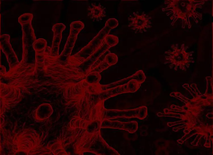 Najnowsze dane dotyczące koronawirusa (SARS-CoV-2) - 29 grudnia