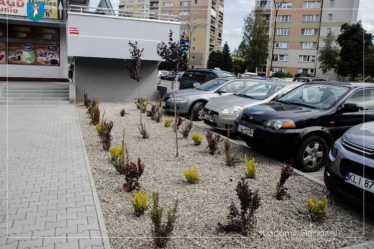 Parkingi i chodniki na Osiedlu Millenium zostały zmodernizowane Nowy Sącz
