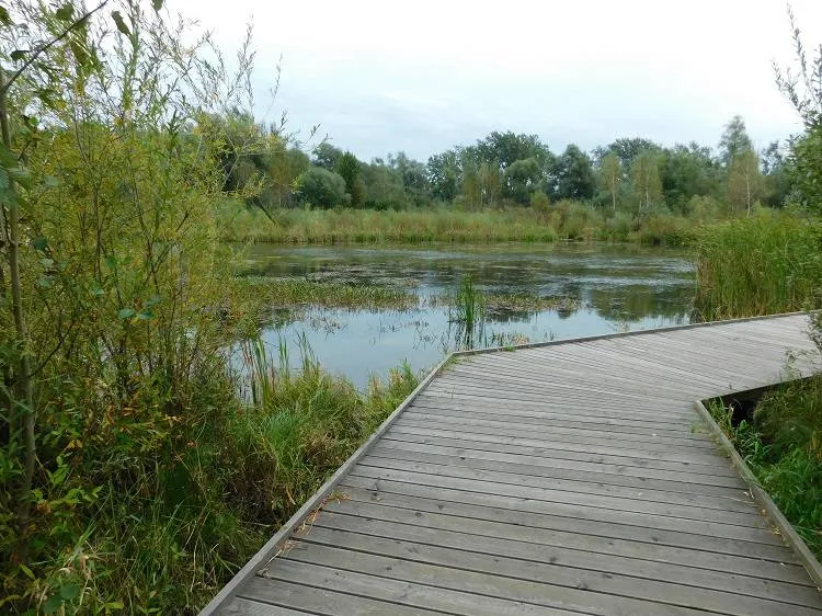 Enklawa przyrodnicza Bobrowisko nominowana w ogólnopolskim konkursie