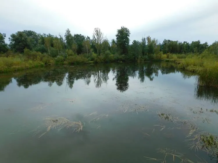 Enklawa przyrodnicza Bobrowisko nominowana w ogólnopolskim konkursie
