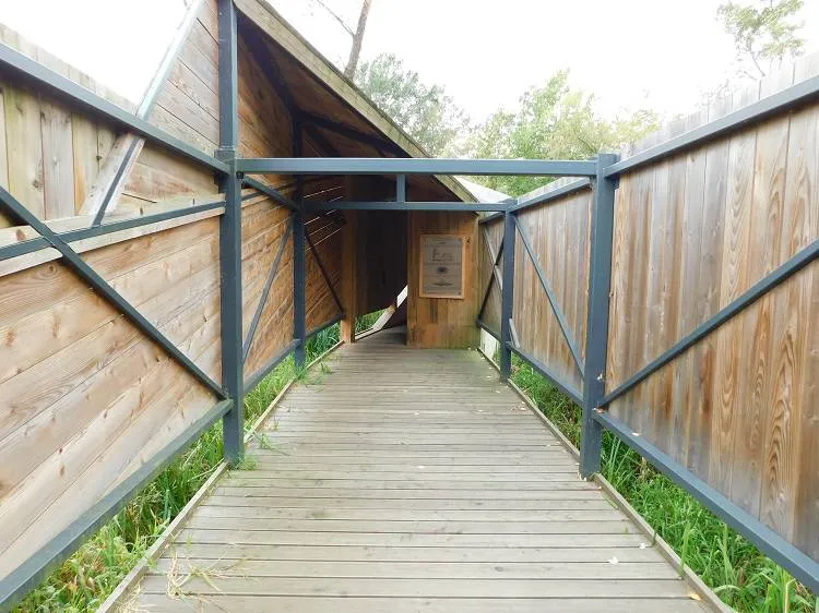 Enklawa przyrodnicza Bobrowisko nominowana w ogólnopolskim konkursie