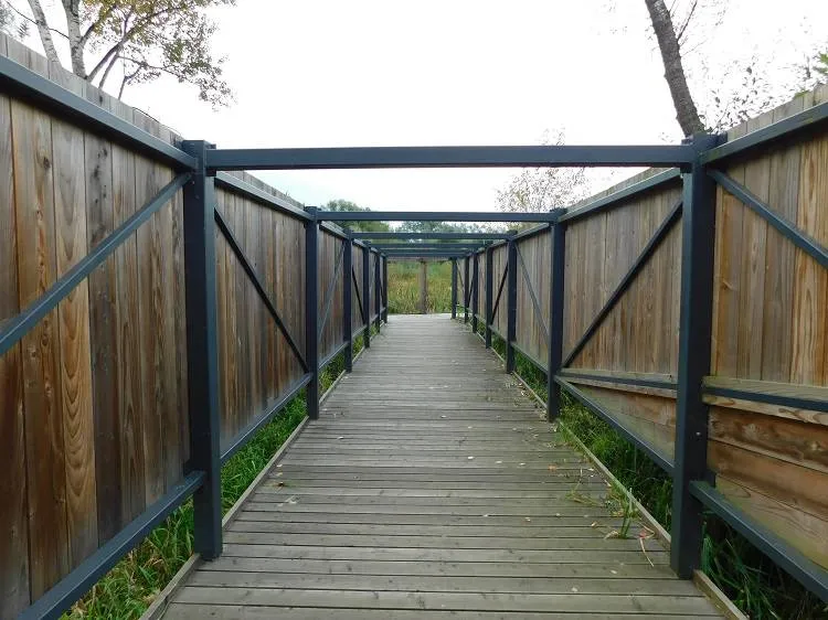 Enklawa przyrodnicza Bobrowisko nominowana w ogólnopolskim konkursie