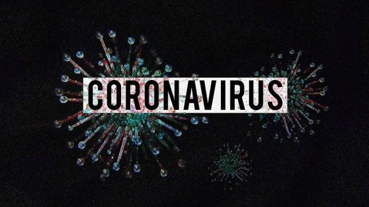 Najnowsze dane dotyczące koronawirusa (SARS-CoV-2) - 6 grudnia