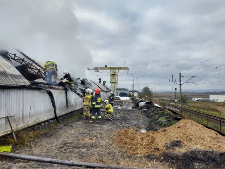 13 zastępów straży gasiło pożar magazynu z materiałem drzewnym na ul. Węgierskiej