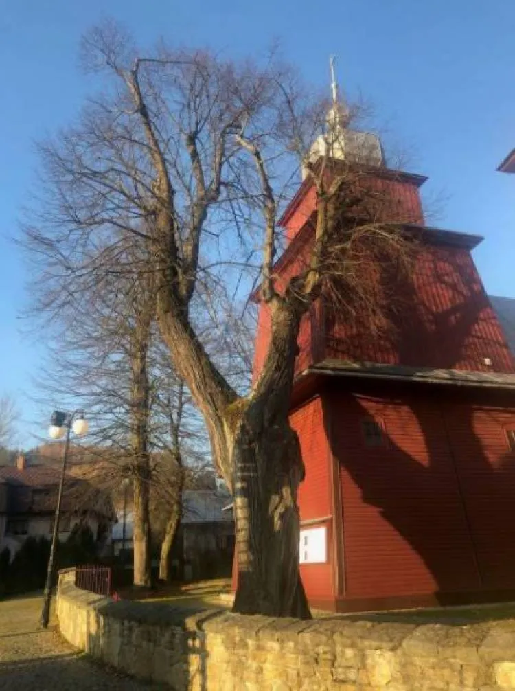 W Tyliczu konar drzewa oparł się o kościół. Interweniowali strażacy