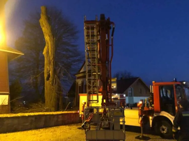 W Tyliczu konar drzewa oparł się o kościół. Interweniowali strażacy