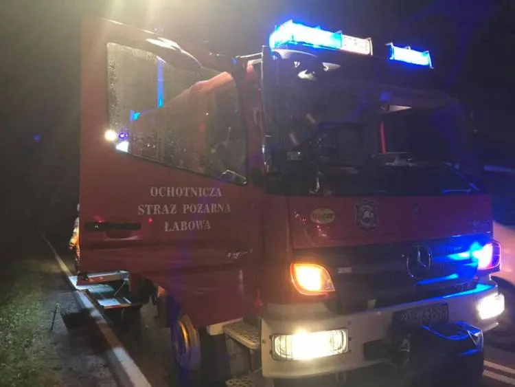 Łabowa: Osobówka zderzyła się z jeleniem