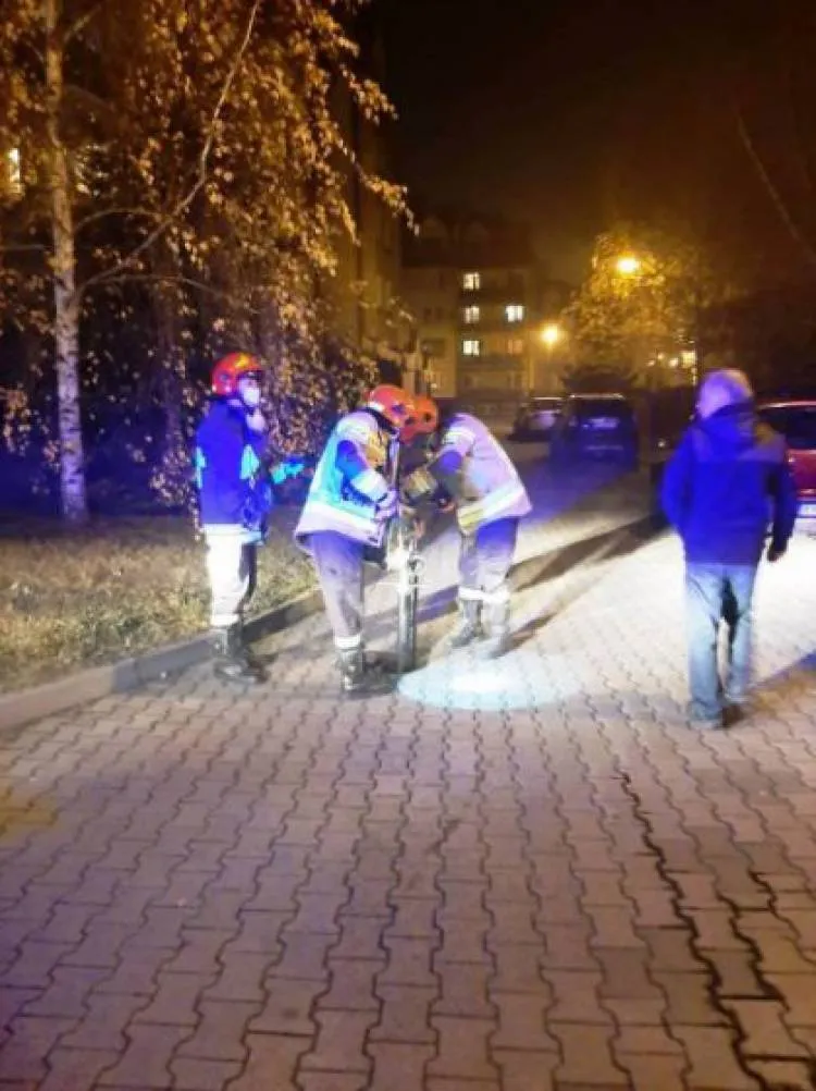 W ciągu jednego dnia strażacy gasili kilka pożarów pojemników na śmieci