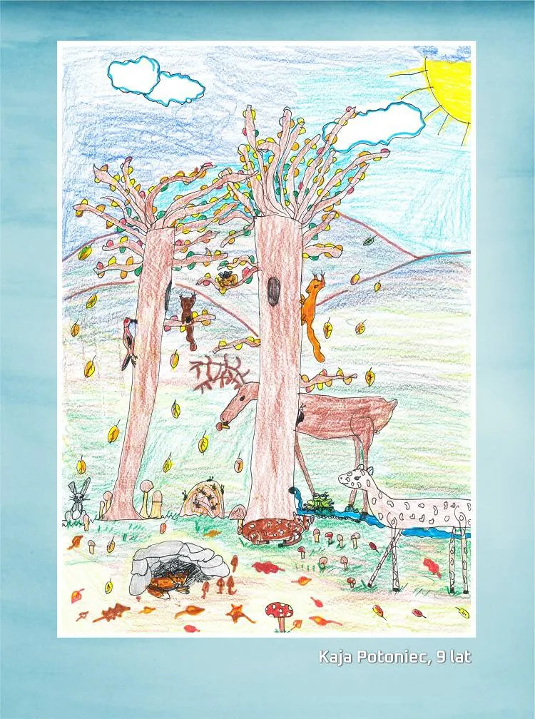 Sądecka Biblioteka Publiczna nagrodziła laureatów Konkursu „Mój ulubiony bohater literacki” Nowy Sącz