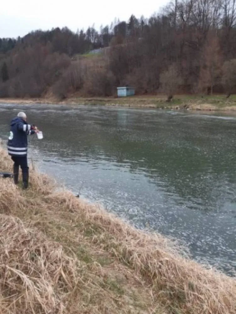 Muszyna: Dziwna substancja na powierzchni rzeki Poprad