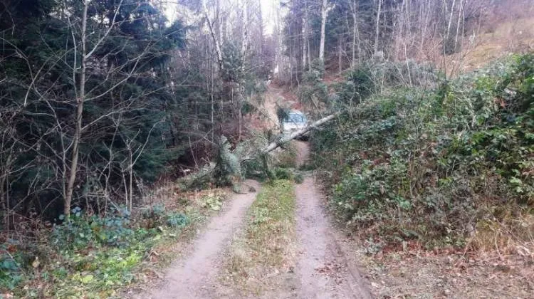 Sądecczyzna. W weekend strażacy usuwali skutki silnego wiatru