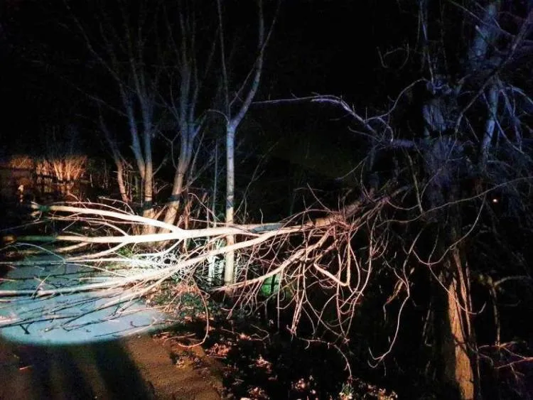 Sądecczyzna. W weekend strażacy usuwali skutki silnego wiatru