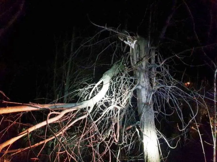 Sądecczyzna. W weekend strażacy usuwali skutki silnego wiatru