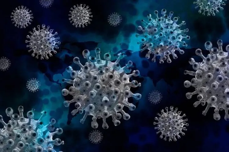 Najnowsze dane dotyczące koronawirusa - 1 listopada