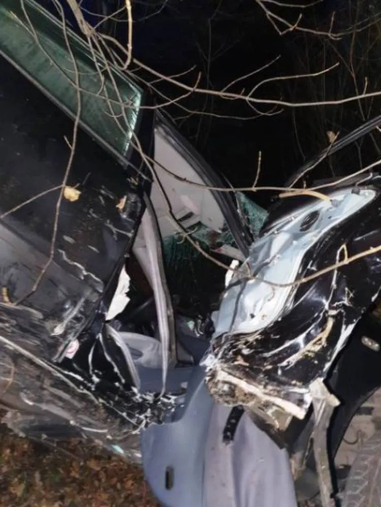 W Barcicach osobówka wypadł z drogi. Dwie osoby trafiły do szpitala