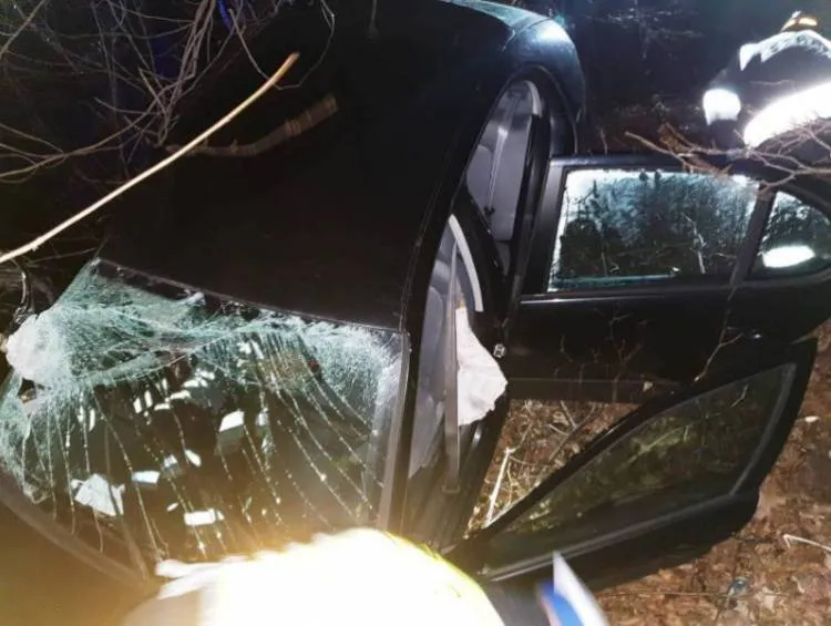 W Barcicach osobówka wypadł z drogi. Dwie osoby trafiły do szpitala