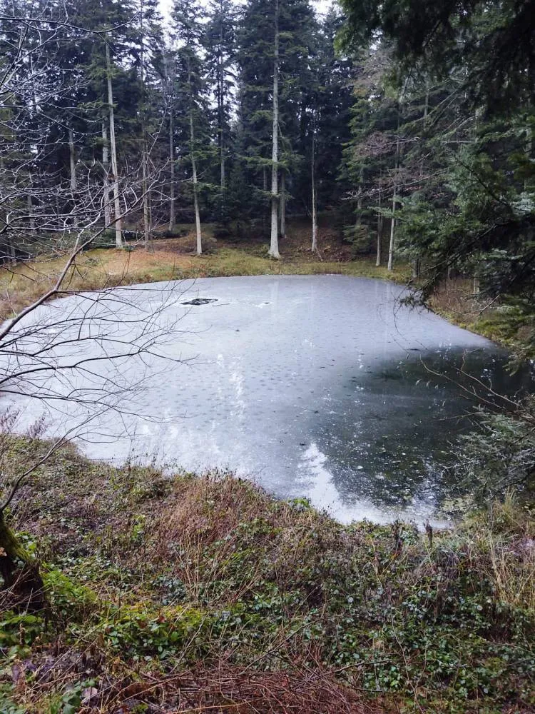 Służby ratunkowe poszukują zaginionej 18-letniej Justyny Szczeciny z Florynki