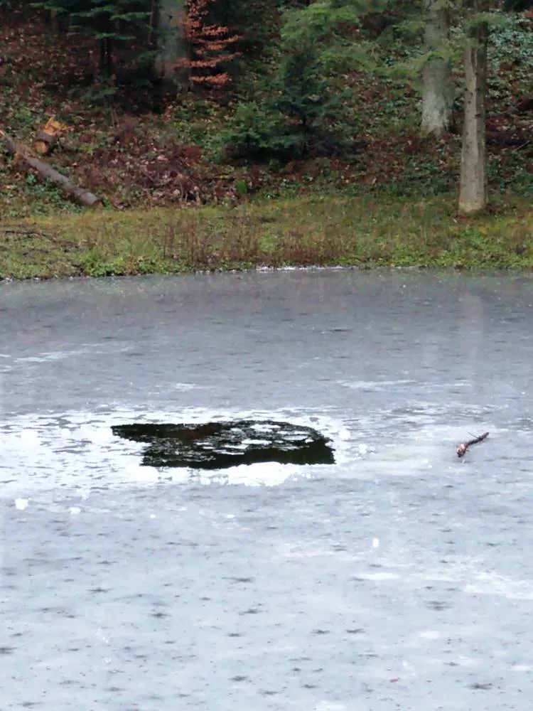 Służby ratunkowe poszukują zaginionej 18-letniej Justyny Szczeciny z Florynki
