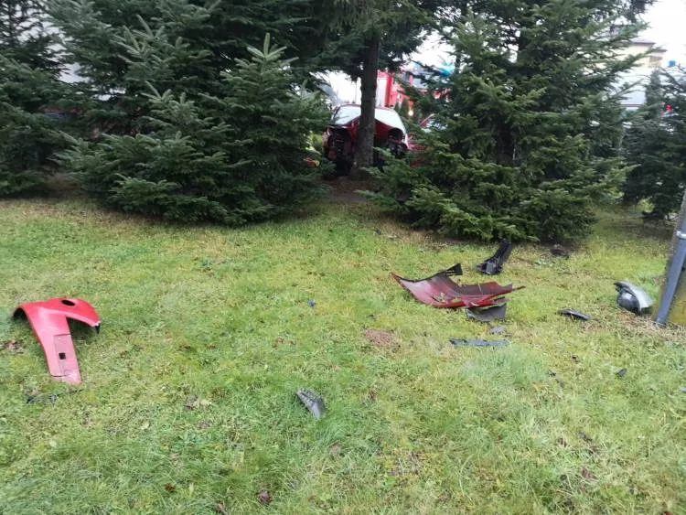 Nawojowa: Na ul. Starosądeckiej samochód osobowy uderzył w drzewo