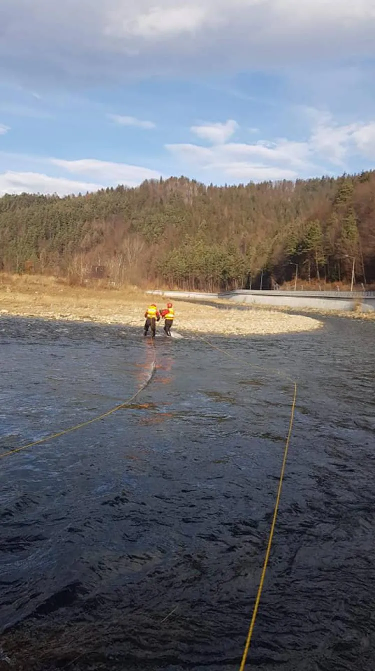 Piwniczna Zdrój, ul. Krynicka: Pies utknął na wysepce rzecznej. Pomogli strażacy i goprowcy
