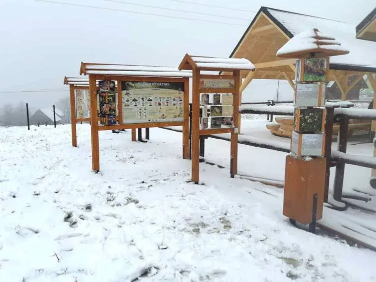 W Wysokiem powstał szlak turystyczno-rekreacyjny