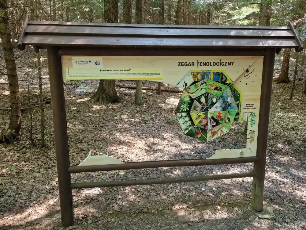 Rewitalizacja Lasku Falkowskiego coraz bliżej. Zniszczona ścieżka przyrodnicza odzyska blask