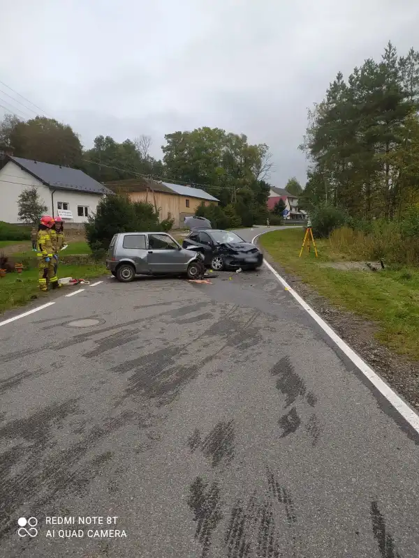Wypadek drogowy w Boguszy. Dwie osoby trafiły do szpitala