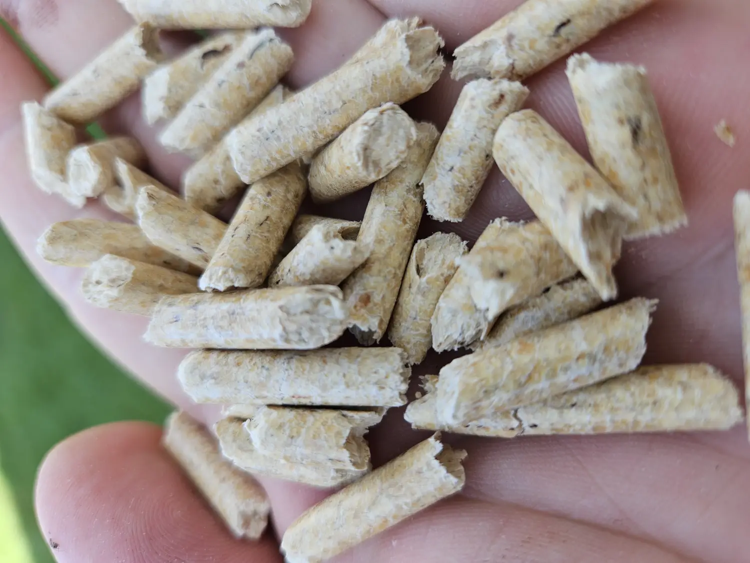 Pellet drenuje portfele Polaków. Poseł z Nowego Sącza interweniuje: „Teraz czas działać”