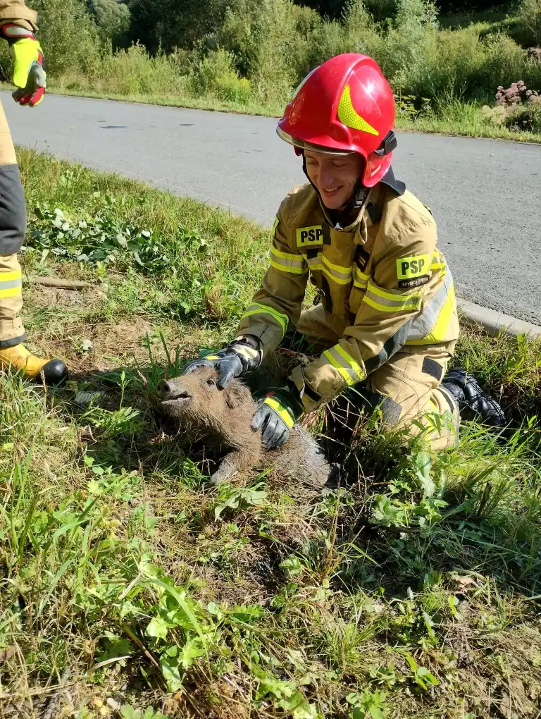 Niezwykła akcja ratunkowa w Krynicy