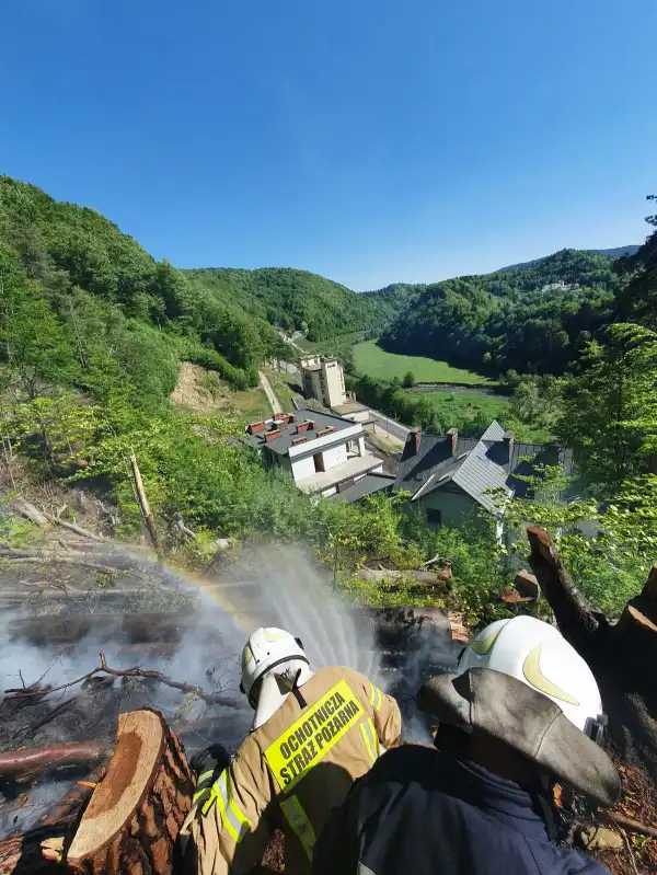 Pożar lasu w Żegiestowie. Z ogniem walczyło 12 zastępów straży