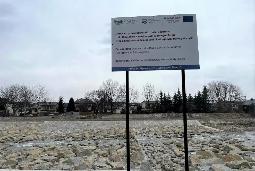 Nowe przepławki w Nowym Sączu – Wody Polskie renaturyzują Kamienicę Nawojowską