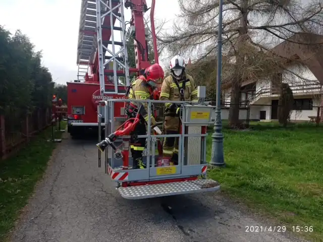 Strażacy pomogli...bocianowi