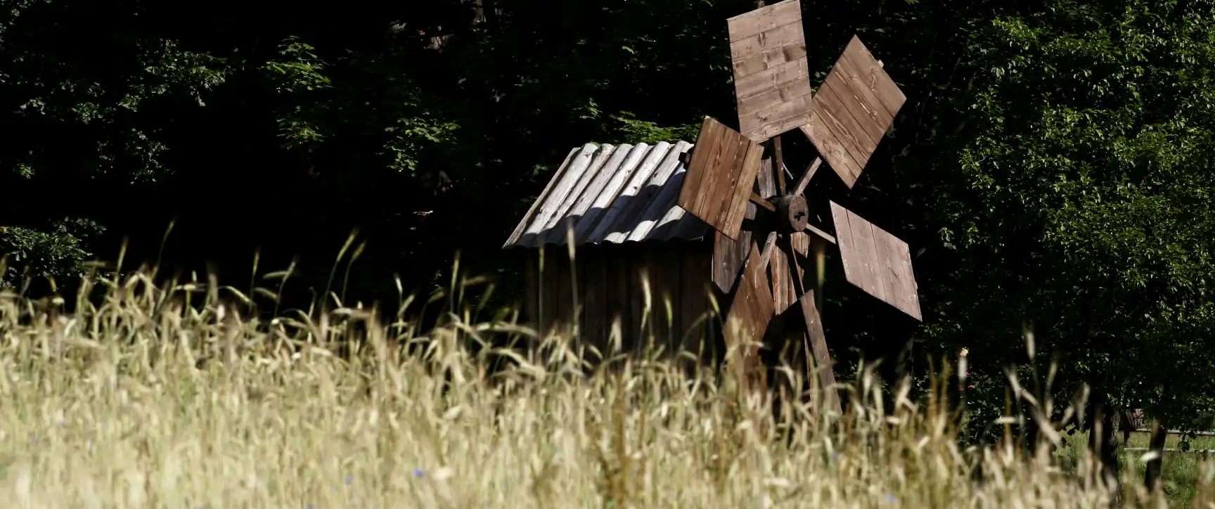 Muzeum Okręgowe w Nowym Sączu realizuje projekt „Drzewo świata – rośliny w kulturze ludowej Sądecczyzny