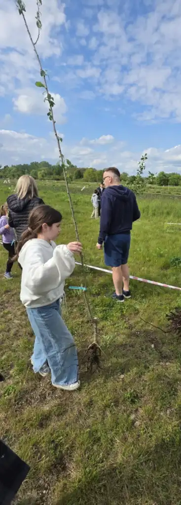 Zasadzili drzewa, posiali przyszłość. Zielona akcja w Starym Sączu